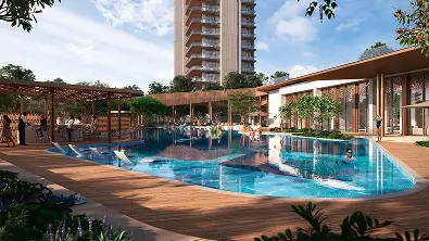 Layout Gallery Image